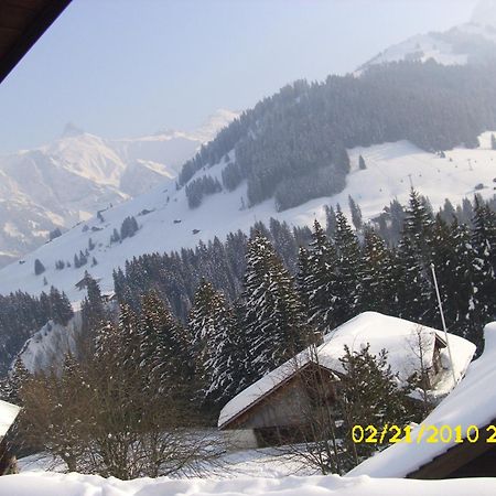 Apartment Nadeschda Adelboden Buitenkant foto