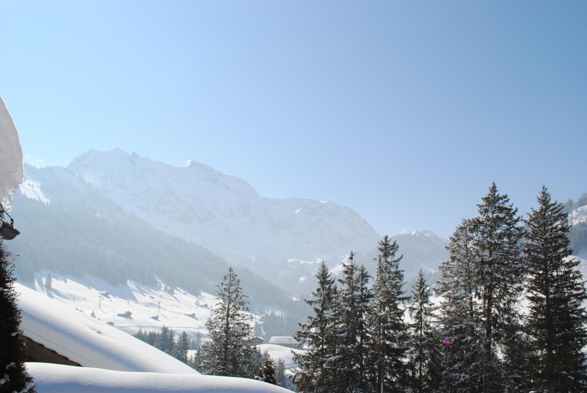 Apartment Nadeschda Adelboden Buitenkant foto